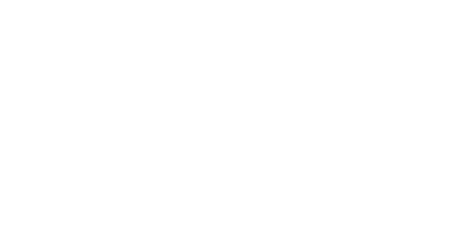 VF555